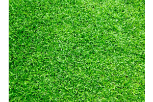 lush green artificial grass from above