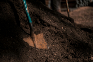 Shovel soil