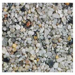 Fossil Resin Kit