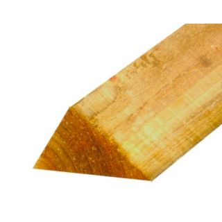 47 x  50 WHITEWOOD TILT FILLET TREATED