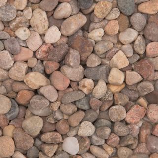 Scottish Pebble 20 - 30mm Approximately (BULK BAG)