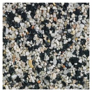 Oyster Resin Kit