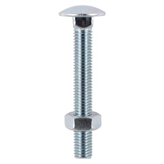 M10x100 CARRIAGE BOLT & HEX NUT 2no. 10100CBP