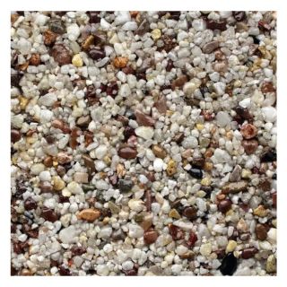 Orchid Resin Kit
