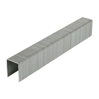 Staples Hd Chisel Galv 14MM 377861