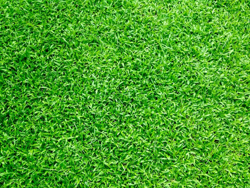 lush green artificial grass from above